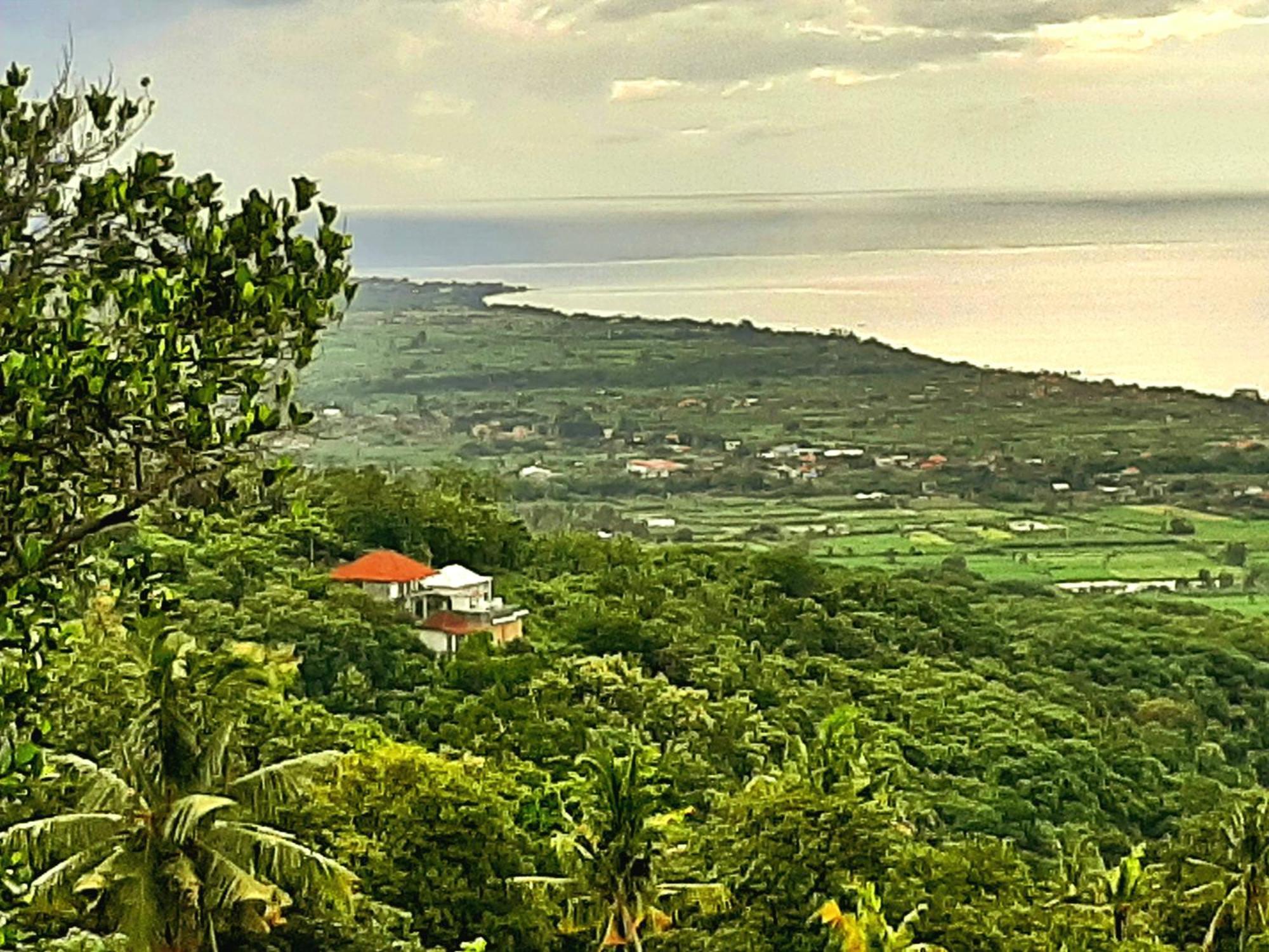Liri Villa - Ocean, Hills, Valley View Lovina Eksteriør bilde